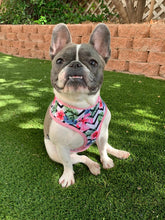 Load image into Gallery viewer, Frenchie Supply Harness - Floral