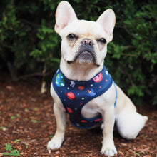 Load image into Gallery viewer, Frenchie Supply Harness - Outer Space