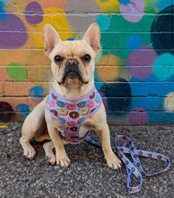 Load image into Gallery viewer, Frenchie Supply Harness - Delicious Donuts