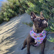 Load image into Gallery viewer, Frenchie Supply Collar - Delicious Donuts
